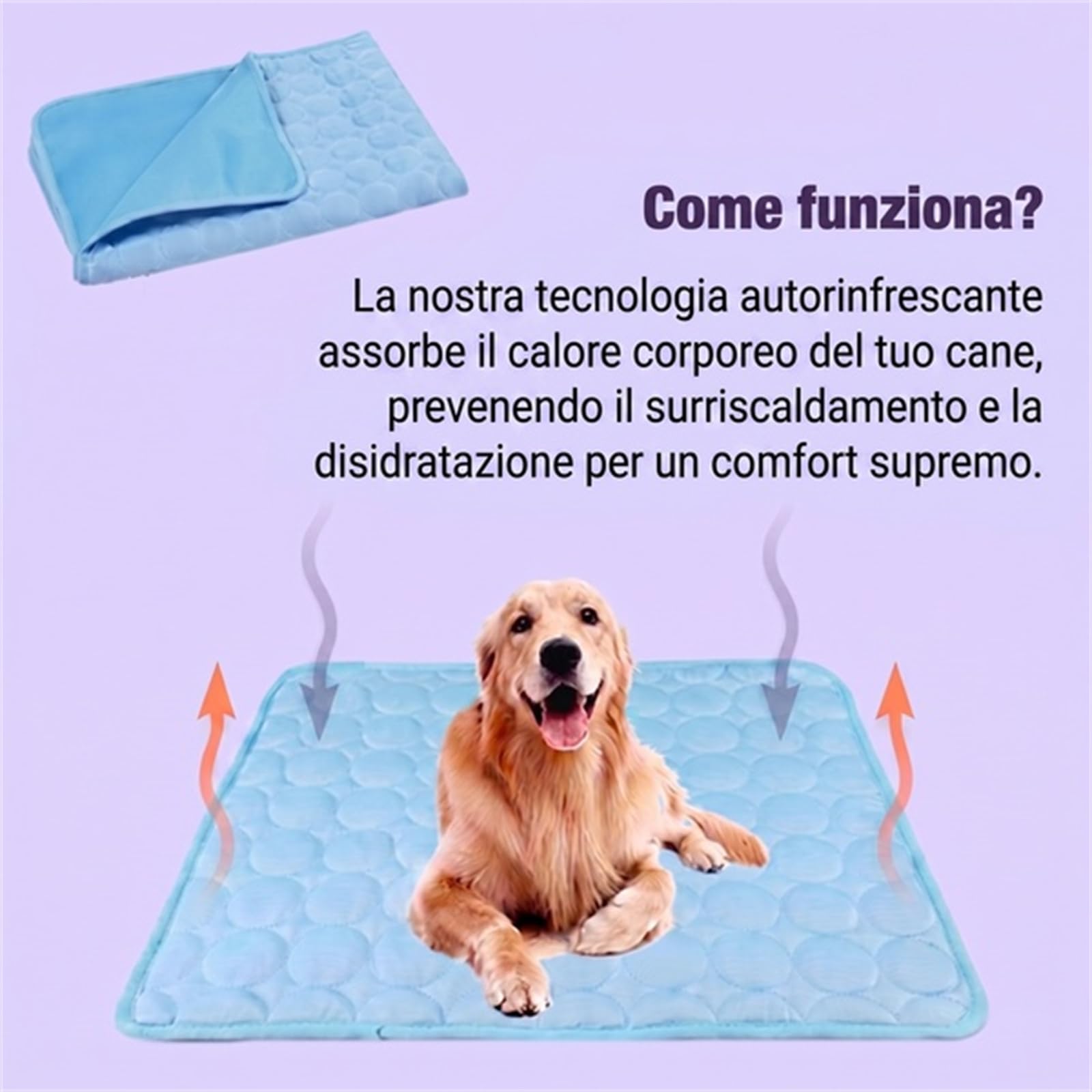 Coolnap Tappetino Rinfrescante Cani Raffreddante Estivo | Impermeabile, antigraffio, superficie fresca, facile da pulire, adatto agli animali domestici