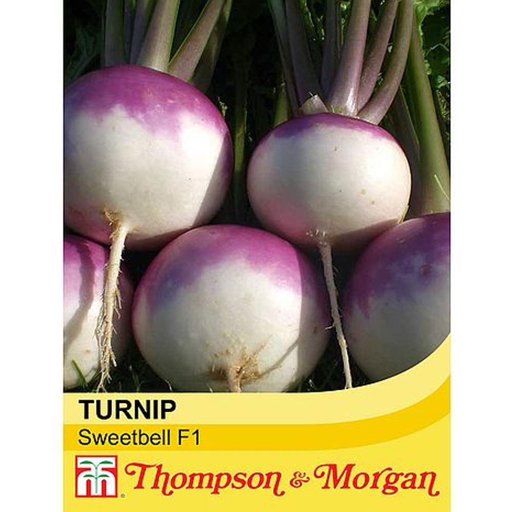 Turnip 'Sweetbell' F1 Hybrid Brassica Rapa Hardy Annual Vegetable Summer Autumn Harvest Garden Plants Grow Your Own 1 x Seed Packet (100 Seeds) Turnip 'Sweetbell' F1 Hybrid by Thompson and Morgan