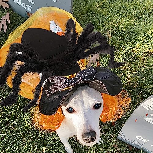 Stronrive Halloween Spinnenkostüm für Hund & Katze - Plüsch Spinne Kostüme für Haustiere