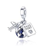 MULA 925 Sterling Silver Charms for Bracelets and Necklaces Airplane Passport Dangle Pendants Beads Butterfly Dragonfly Charms Jewelry Charm for Women