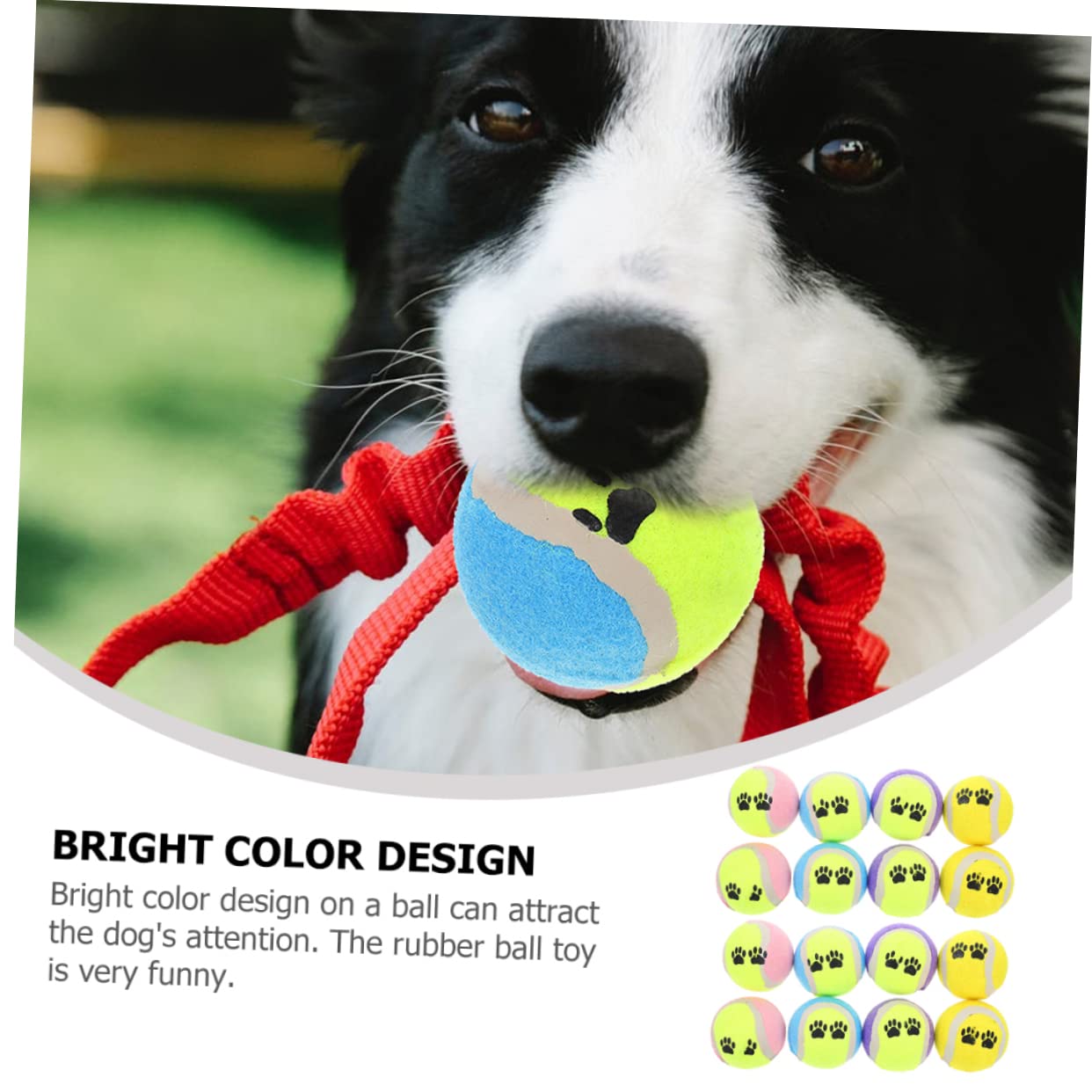 YARNOW 16pezzi Palline Per Cani Giocattoli Per Cani Piccoli Palline Rimbalzanti Per Allenamento e Gioco Colori Misti Resistente Ai Morsi Divertimento Interattivo Per Cuccioli e Adulti