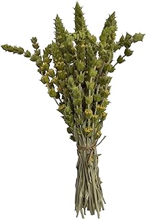 Certified Organic Greek Mountain Tea Sideritis Raeseri 85g(3 oz) - 1,95KG(68.8 oz) (85 grams(3 oz))