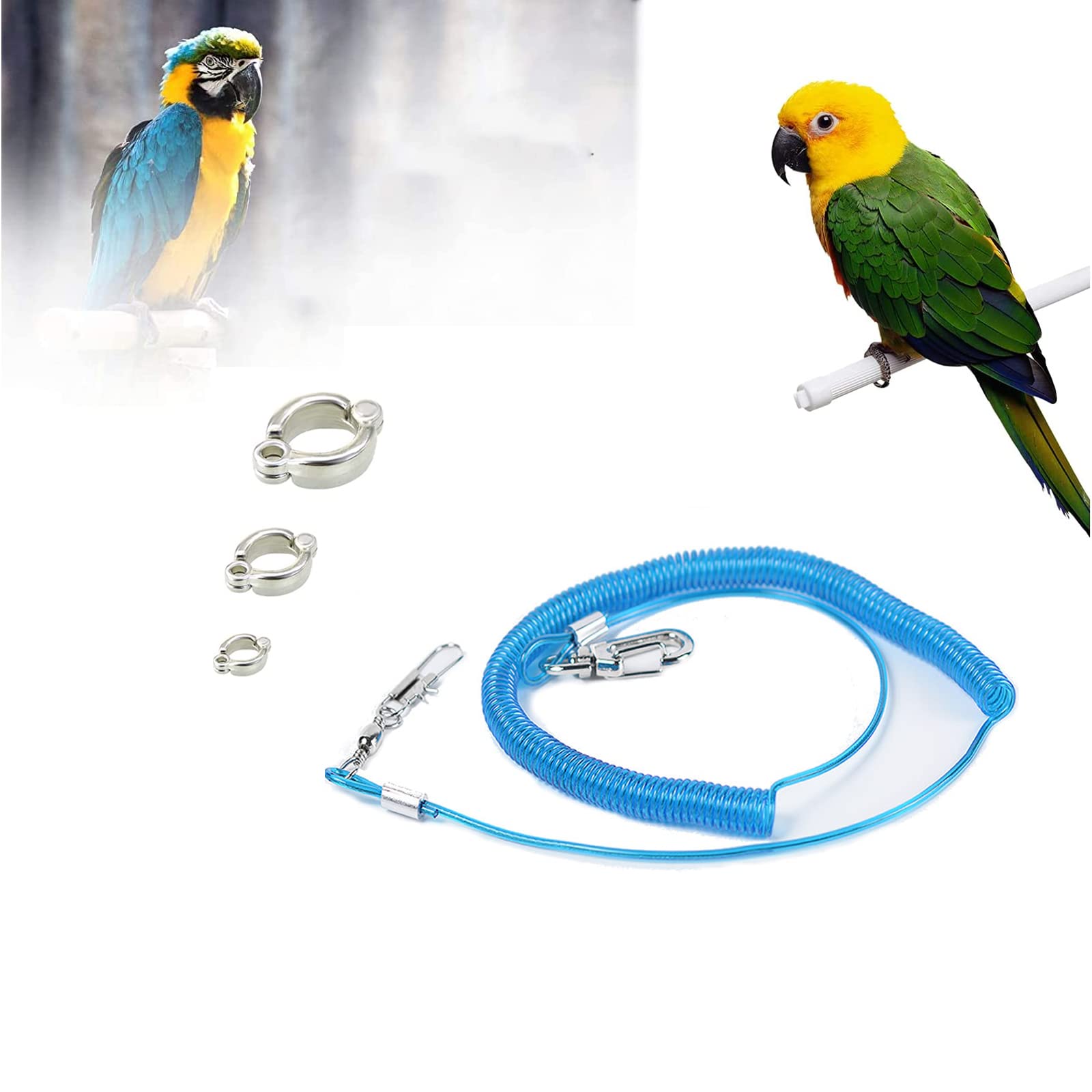 Sponsored Ad – SYOSI Parrot Flying Harness - 6m Anti-Bite Aviator Training Leash With 3 Foot Rings for Macaw, African Greys, Parakeet