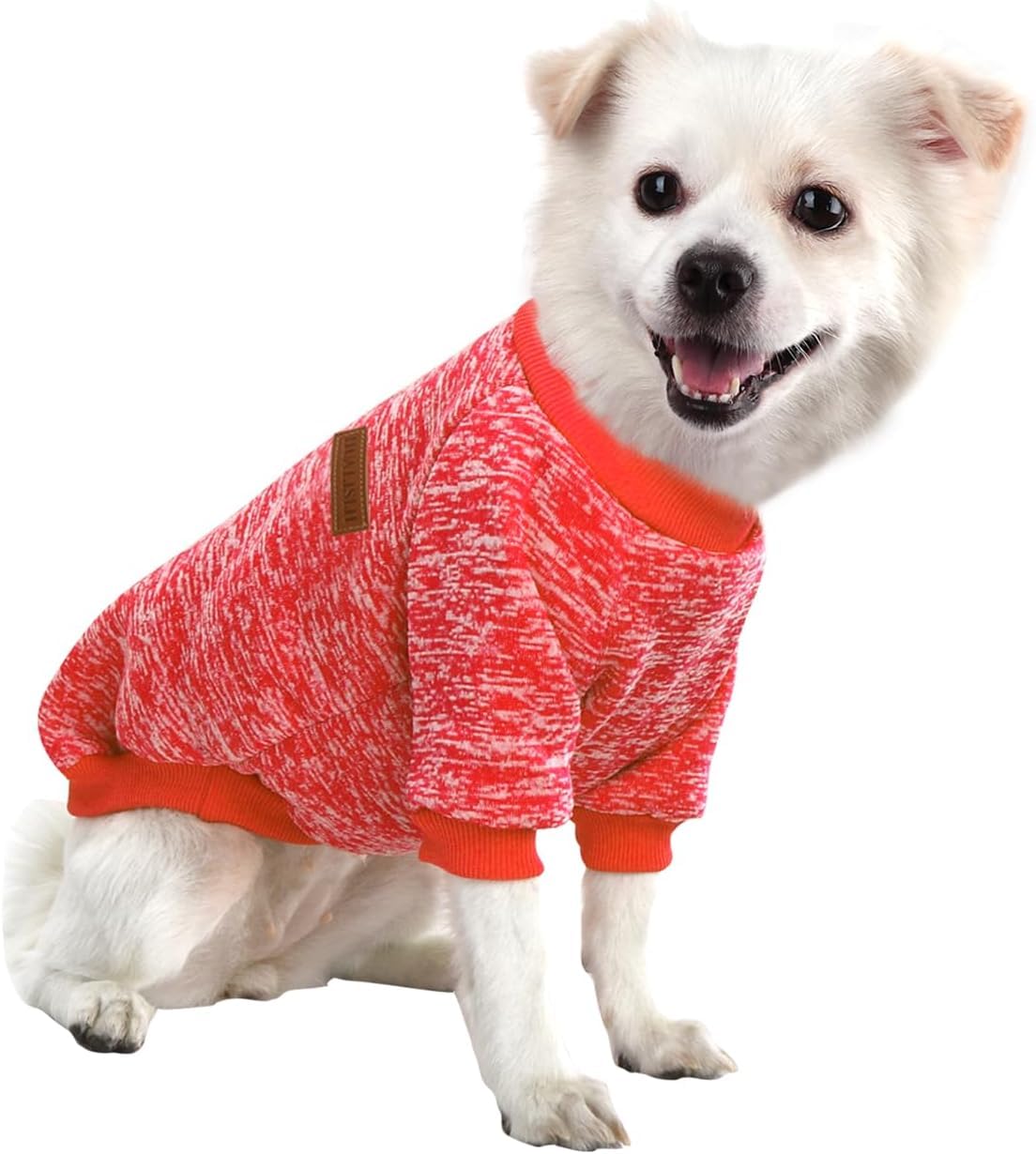 Jersey Perro Pequeño Sudaderas para Perros Jersey Chihuahua Jersey Gato, Es un Tejido Bastante Cómodo, Suave y Cálido para el Animal y Fácil de Poner (Azul+Morado,M) — view 7