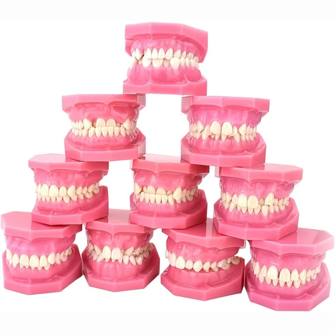 Dentysta Korekta Ortodontyczna Model Anatomiczny Do Nauki Stomatologii Badanie Zębów Dorosłych Model Dydaktyczny 10 Szt. Model Demonstracyjny Klasyfikacji Wad Z