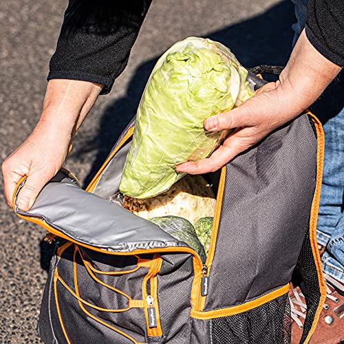 Kühlrucksack CampFeuer 30 Liter, leicht und wasserdicht in grau