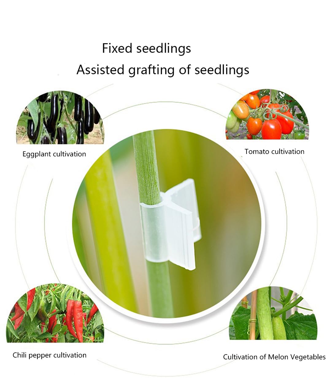 For Gardening PP Plant Grafting Clip, Size: In Mm At Rs 2.99/piece In - Foto 5