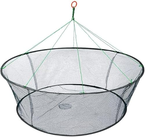 Rutexc ܂肽ݒނ ߂JS Gr EiM uX^[ ߊlp y RpNg gѕ֗ pr  Ԏd| AEghA ނp