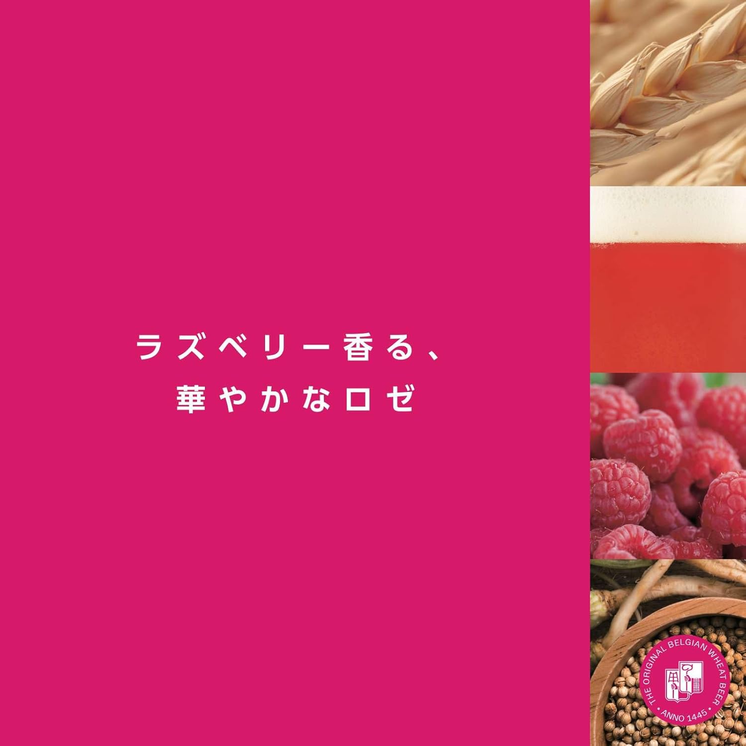 ヒューガルデンロゼ 缶 Hoegaarden[ フルーツビール 330ml × 24本 ]