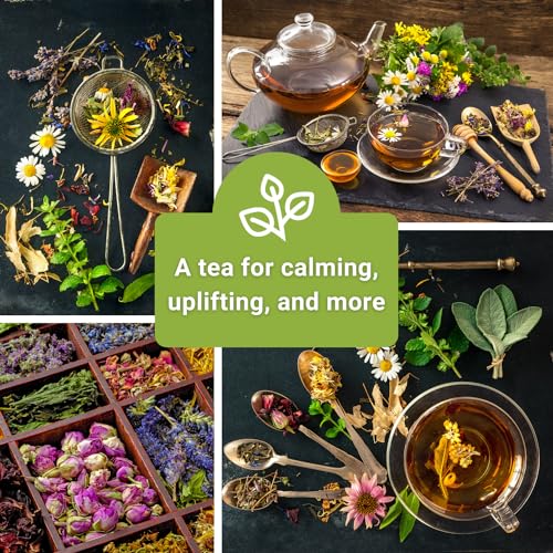 Sow Right Seeds - Herbal Tea Collection - Lemon Balm, Chamomile, Mint, Lavender, Echinacea Herb Seed for Planting; Non-GMO Heirloom Seed, Instructions to Plant Indoor or Outdoor; Gardening Gift - Image 3