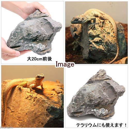 Amazon | 形状お任せ 爬虫類用バスキングスポット ～ウォーム