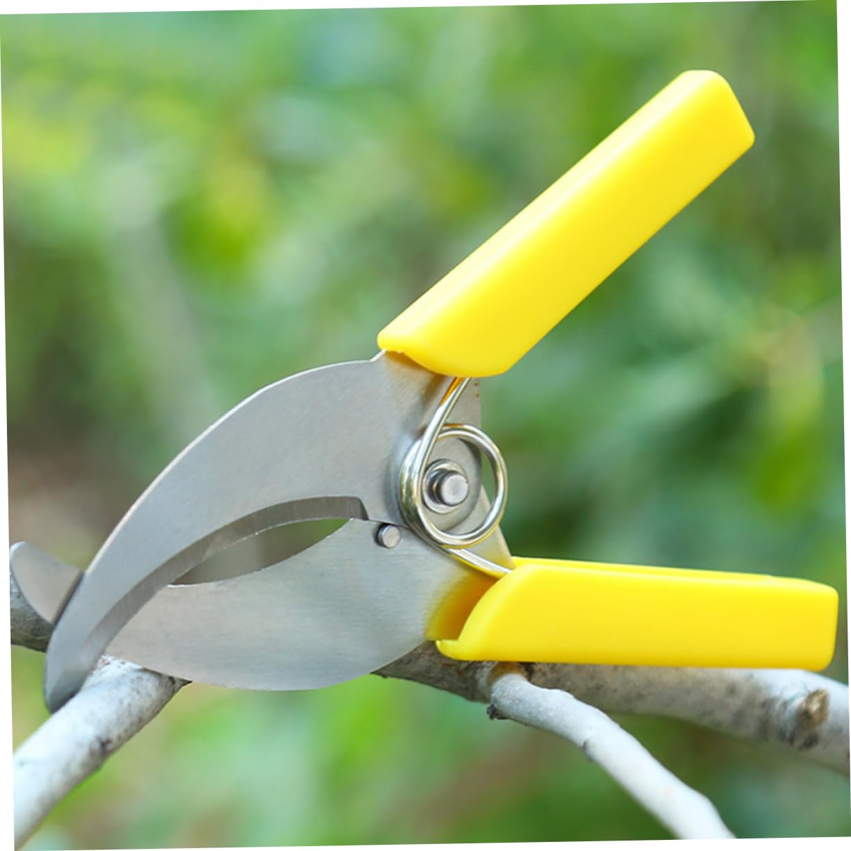 ibasenice 3 Ensembles Outil De Jardinage Inoxydable De Outils De Stripping Pour Arbres Fruitiers Ciseaux De Pruning Antidérapante Pour Entretien Plantes 2 Pièces * 3