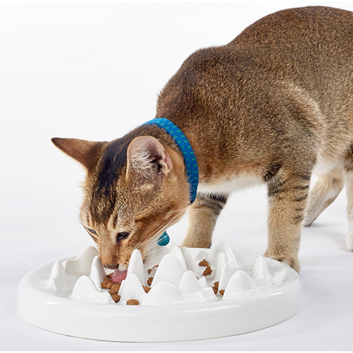 Alasum Gamelle pour Chat en Céramique Blanche Anti-éclats Fonction Slow Feeder de Labyrinthe Alimentation Saine Odeur
