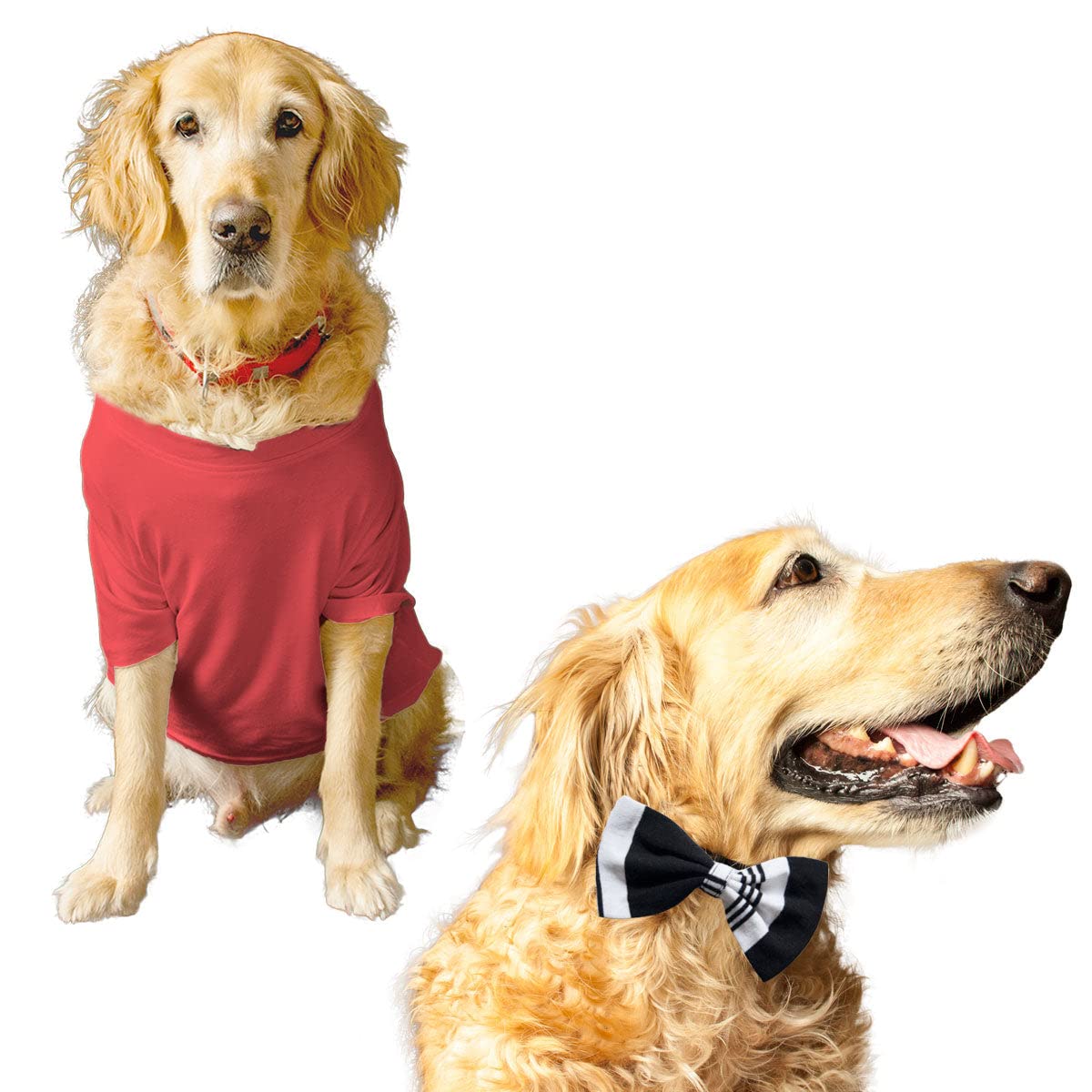 Ruse Basic Summer Dog T-Shirt Solid Pets Crew Neck & Black Berry Striper Bow Tie Half Sleeves Party Dress Set/Apparel/Clothes/Tees Gift for Dogs.Medium (B09TH9DPZS) Amazon Price History, Amazon Price Tracker
