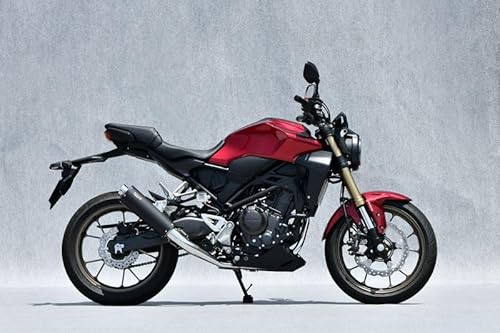 }g[VO(YAMAMOTO) 22` CB250R SPEC-A}t[ SUS Kz 10271-71MBN