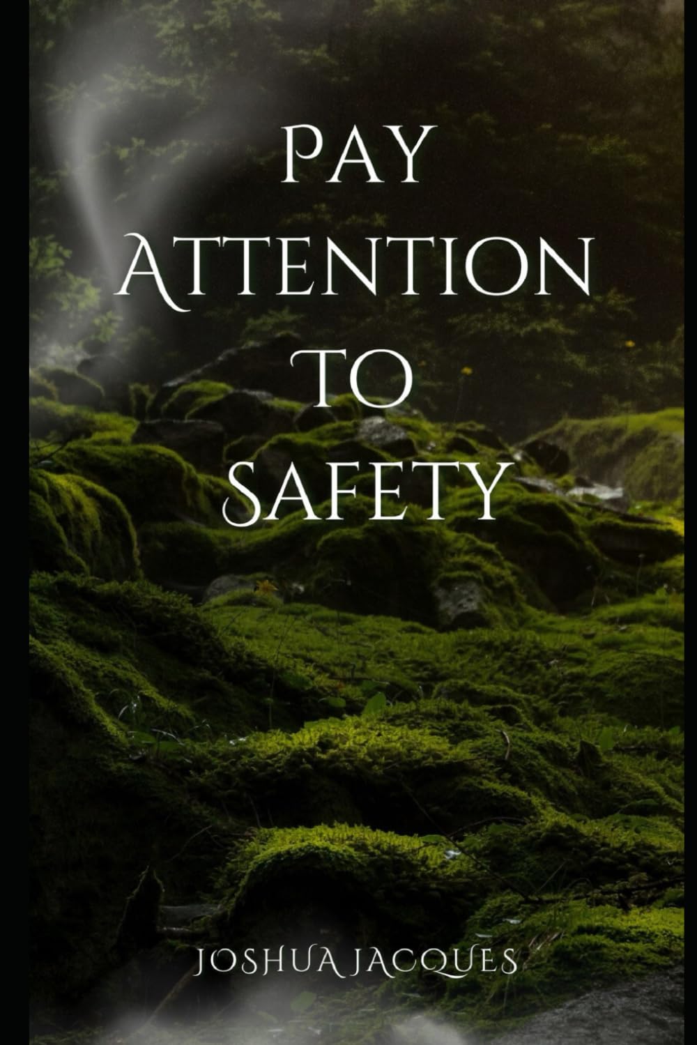 Pay Attention To Safety