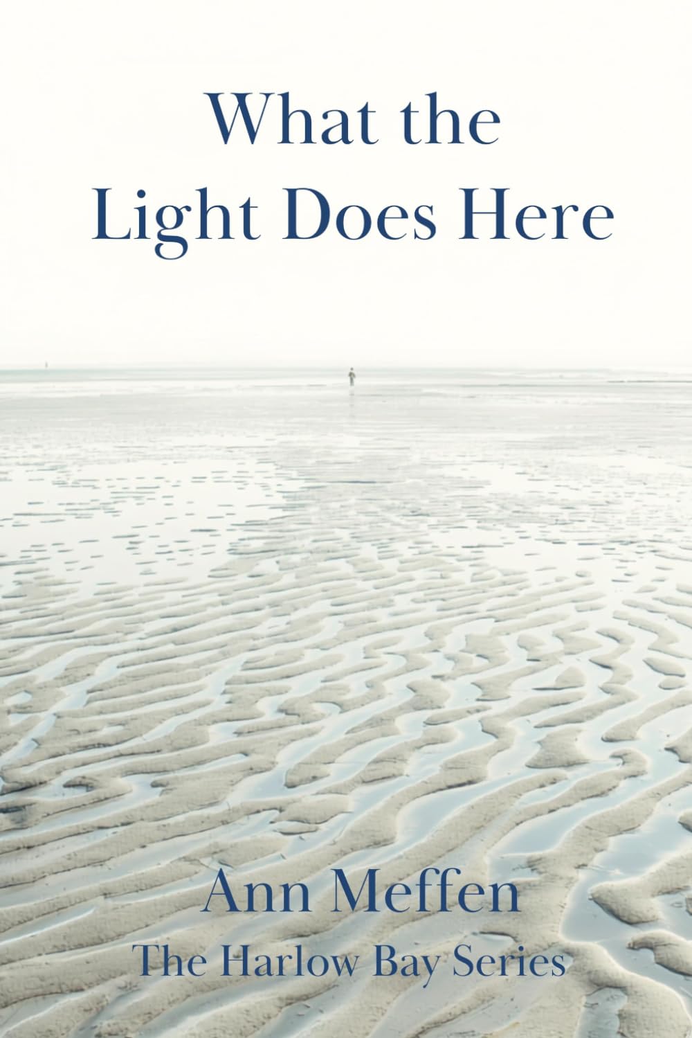 What The Light Does Here: A Cape Cod Love Story (Harlow Bay Series)
