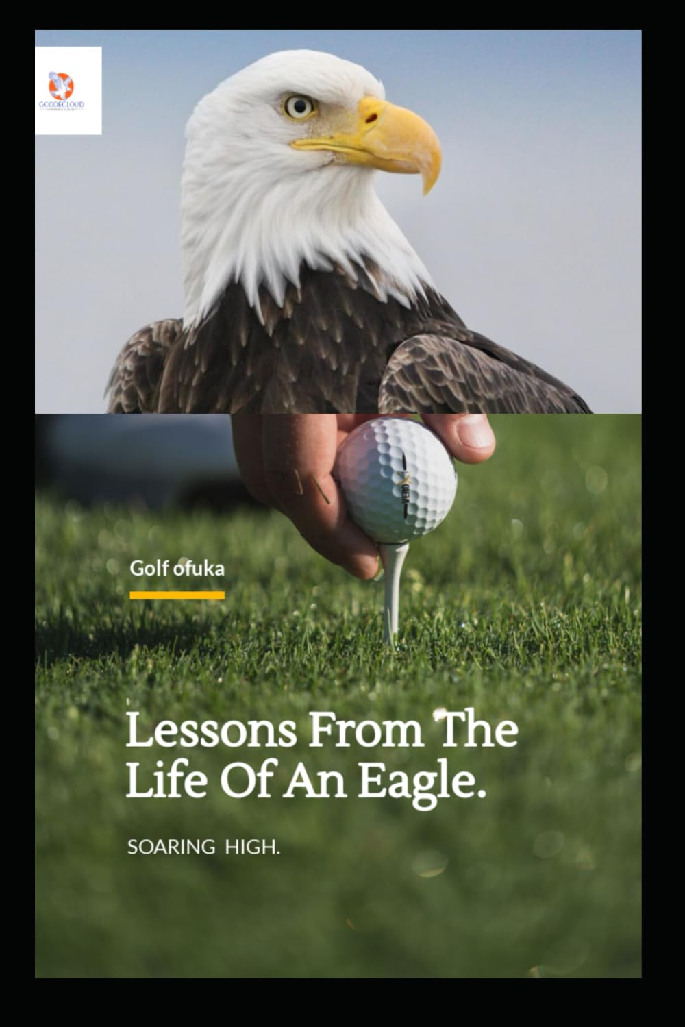Lessons From The Life Of An Eagle.: Soar High.
