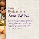 Maui Moisture Shampooing Heal & Hydrate + Beurre de Karité pour Réparer & Hydrater en Profondeur les Cheveux Bouclés Serrés avec Huiles de Noix de Coco & Macadamia, Végane, Sans Silicone, Parabènes & Sulfates, 13 Fl Oz
