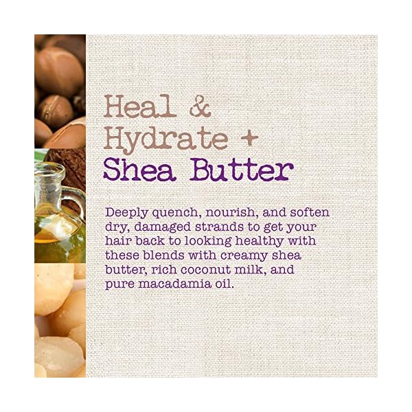 Maui-Moisture-Heal-Hydrate-Shea-Butter-Conditioner-to-Repair-Deeply-Moisturize-Tight-Curly-Hair-with-Coconut-Macademia-Oils-Vegan-Silicone-Paraben-Sulfate-Free-13-fl-oz Maui Moisture Heal & Hydrate + Shea Butter Conditioner to Repair & Deeply Moisturize Tight Curly Hair with Coconut & Macademia Oils, Vegan, Silicone, Paraben & Sulfate-Free, 13 fl oz