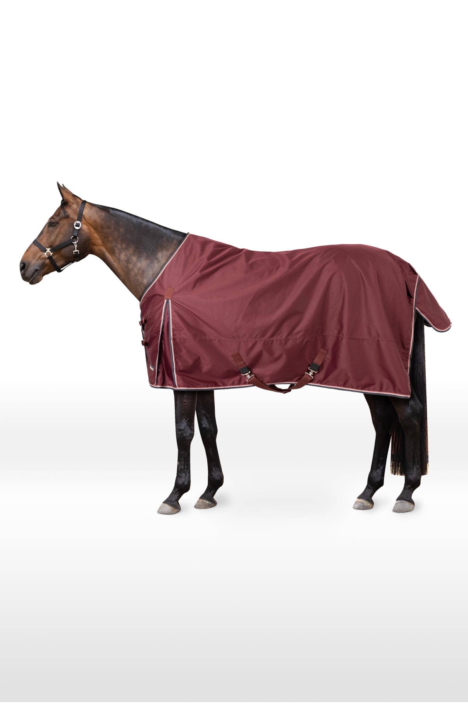 HORZE Glasgow Light Weight Waterproof Turnout Horse Sheet (No Fill) - Burgundy - 78 in