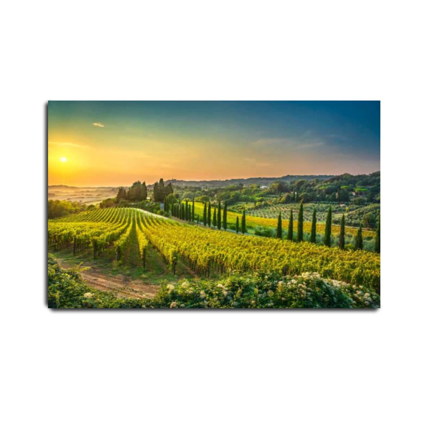 VIUBGCPS Canvas Print Pictures Wall Art Painting Casale Marittimo Village Vineyards and Landscape in Maremma Tuscany Framed & Stretched Posters Ready to Hang Home Decor Artworks - 20x32inch