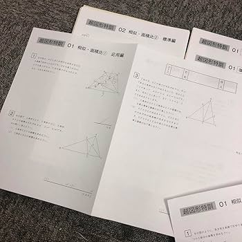 Amazon.co.jp: サピックス 6年 超図形特訓（標準編応用編）複テ付