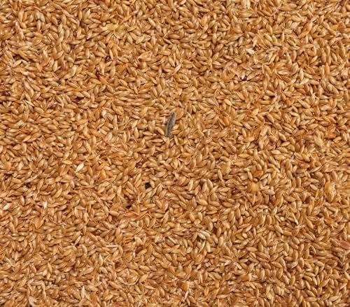 Dehner Lieblinge Vogelfutter, Kanariensaat leicht verdaulich, auch für Nager geeignet, 10 x 1 kg (10 kg)