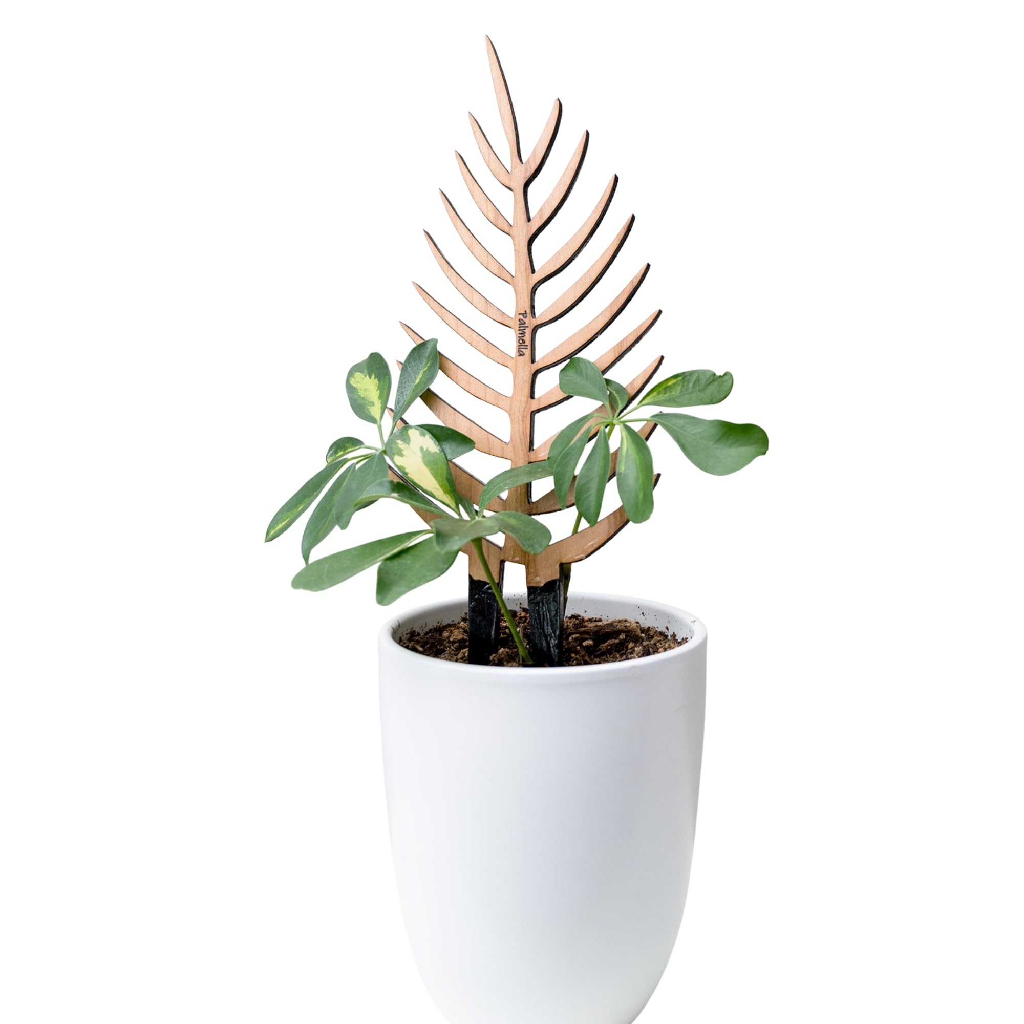 Treleaf Bare™ Palmella™ – Customizable Wooden Palm Leaf Plant Trellis – Regular Size 12” Indoor Plant Support and Decorative Houseplant Stake for Potted Vines and Climbing Plants