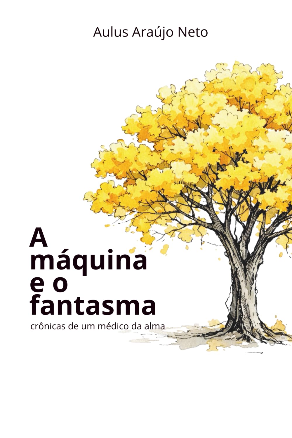 A máquina e o fantasma: Crônicas de um médico da alma