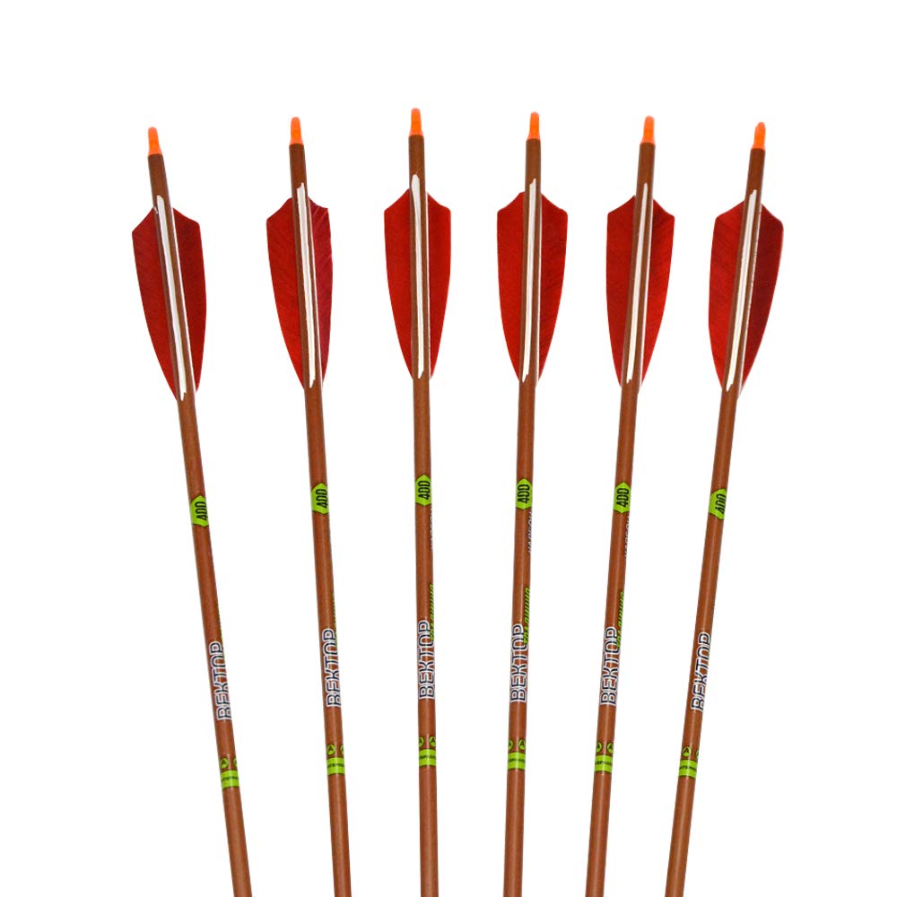 31 Pouces Flèches de Carbone pour Le tir à l'arc Spine 400 Plume de Naturelle Pointe de flèche 100 Grains pour la Chasse à l'arc à poulies Arc Classique (Flèches)
