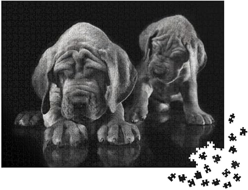 Miniatura 2 de Un gran danés cachorro de pura raza despertar al otro en un negro rompecabezas rompecabezas con 1000 piezas