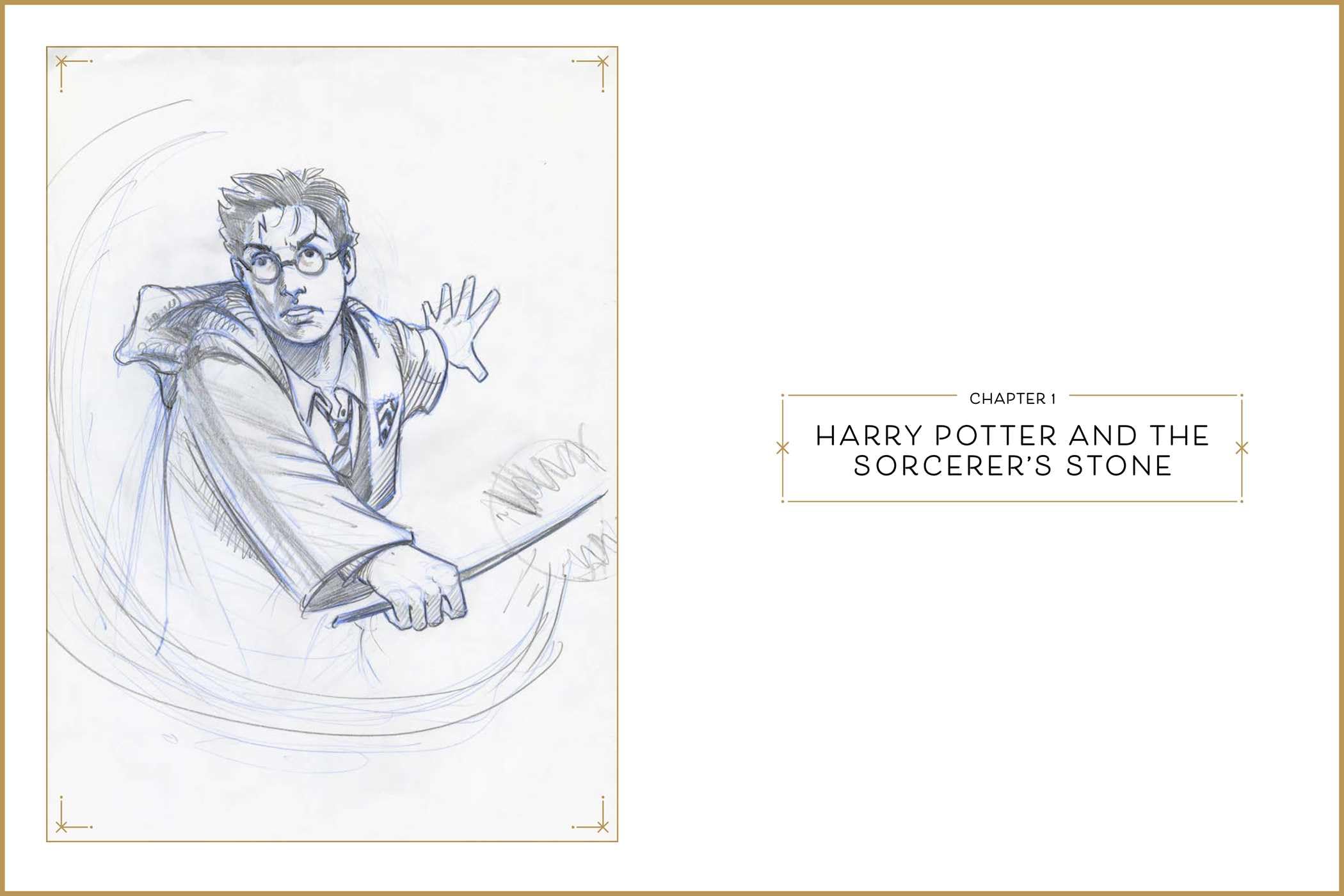 Harry Potter: The Storyboards [UK Edition]