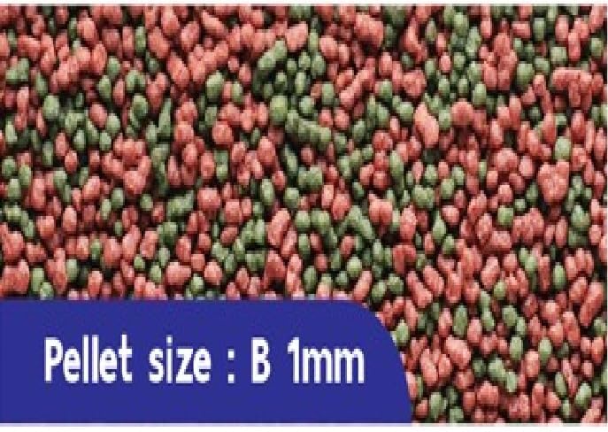 Image of Omega One, Special Fish Food with Spirulina for Colour,Growth & Jelly Enhancer Floating Type Micro 1 Mm Pellet 50 Gm,All Life Stages