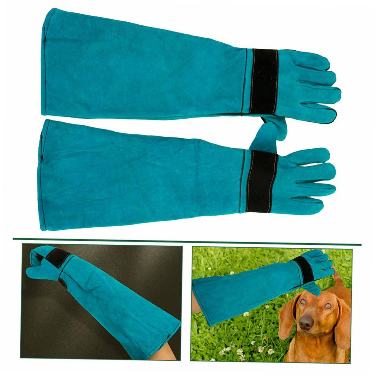 YARNOW Guanti Antimorso in Similpelle per Cani e Gatti Protettivi AntiGraffio per Toelettatura Manipolazione Animale Alimentazione Blu Cuciture Protettive