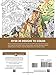 Creative Haven Dazzling Dogs Coloring Book: Relaxing Illustrations for Adult Colorists (Adult Coloring Books: Pets)