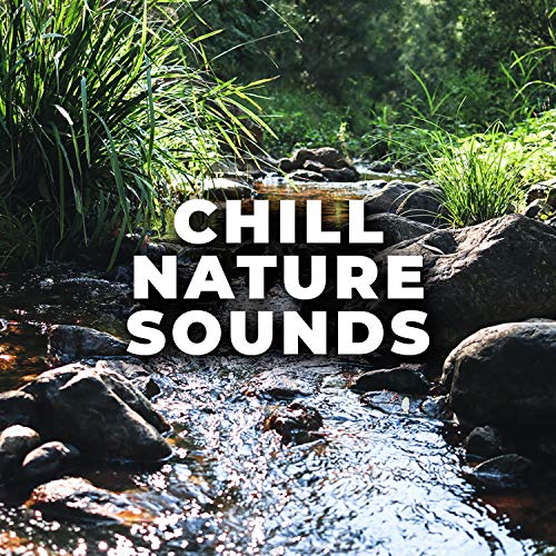 Amazon Music UnlimitedでChill Nature SoundsのAustralian Creek Soundsを