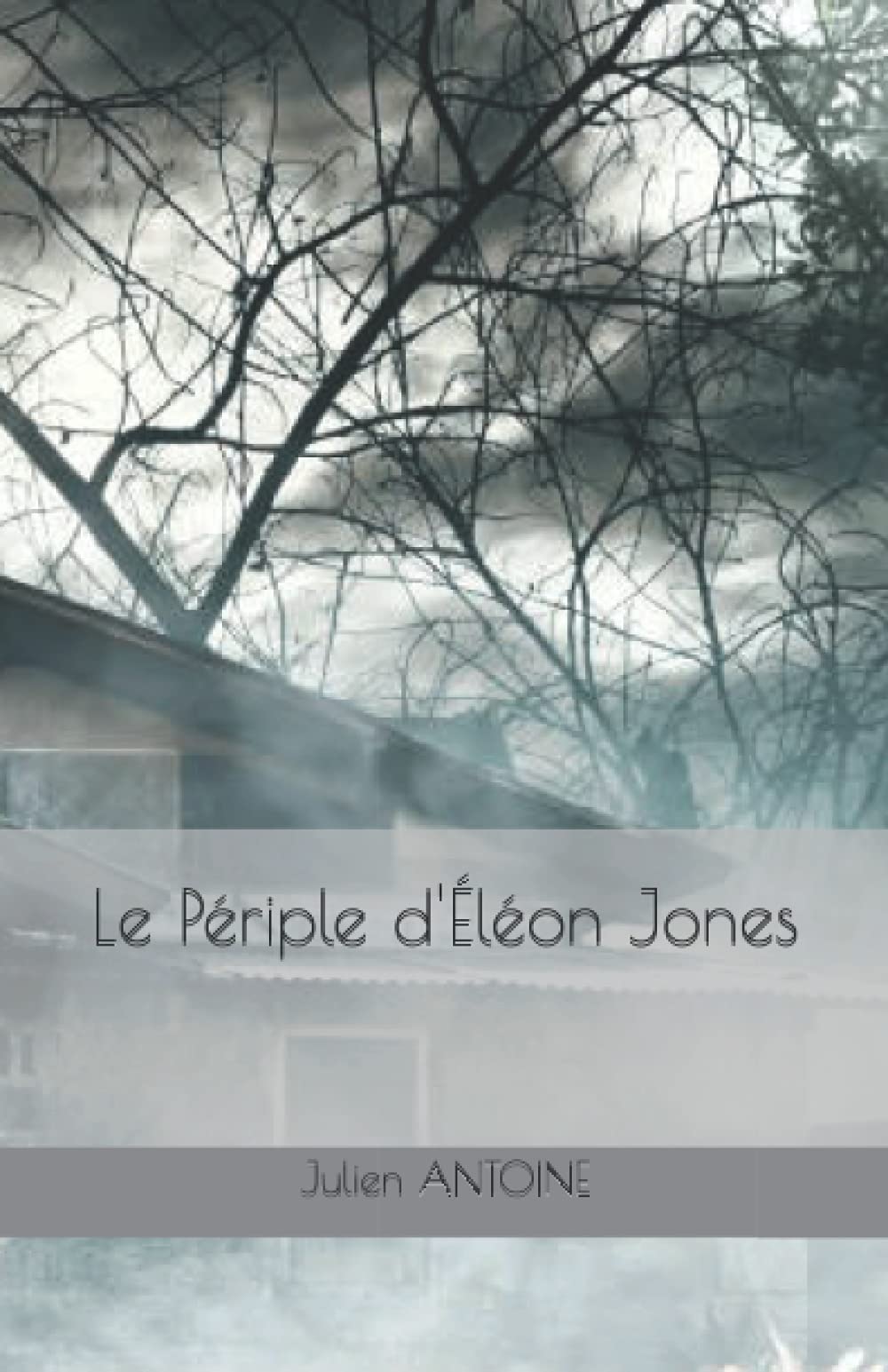 Le Périple d'Éléon Jones