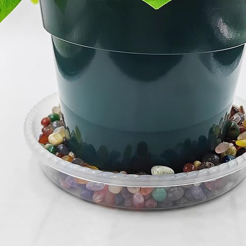 Miniatura 4 de Paquete de 10 platillos para plantas de 7 pulgadas, bandejas transparentes para macetas, bandeja transparente gruesa para plantas para interiores y