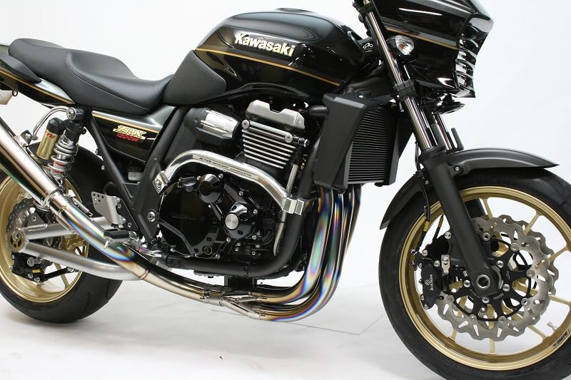 Amazon | アクティブ(ACTIVE) サブフレーム/バフ仕上げ ZRX1200 DAEG 