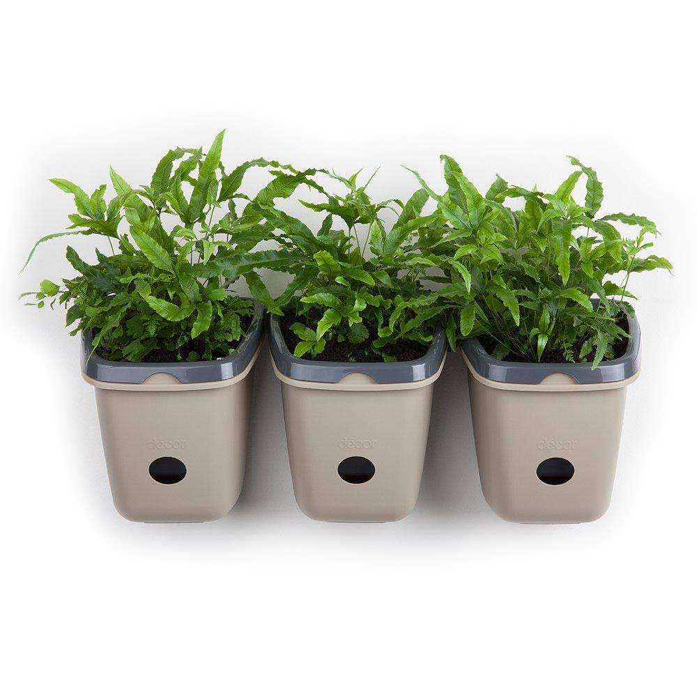 See full amazon price history chart for Décor Garden ® Self-Watering Wall Garden Peweter Décor Garden ® Self-Watering Wall Garden Peweter (B07DQJV5MP) Amazon Price History, Amazon Price Tracker