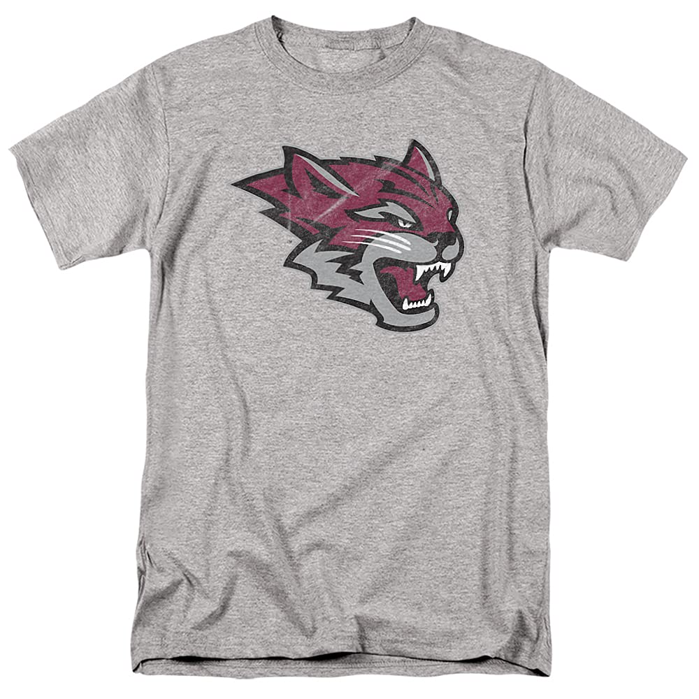 LOGOVISION Official Collegiate Distressed Primary Logo Adult T-Shirt Collection — view 300