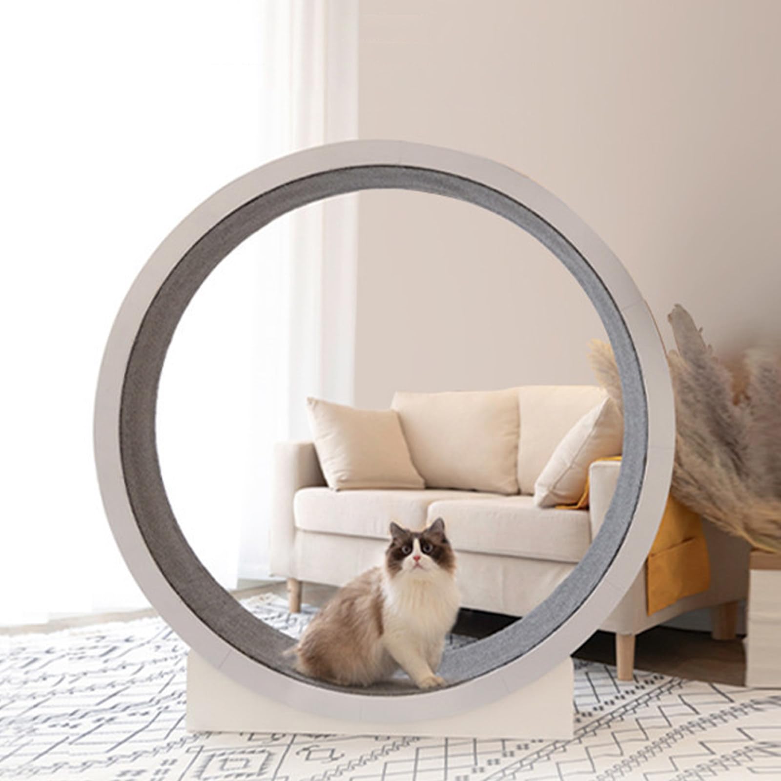 Rueda para gatos, Cinta de Correr grande para gatos de 47 Pulgadas con Pista alfombrada y Ruido ultrabajo, Rueda para Correr para gatos para pérdida de Peso y Salud, fácil de Instalar