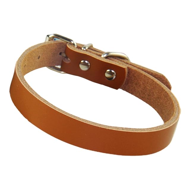 Foto 6 de 8 de Collar de cuero para mascotas, collares de cuero para cachorros