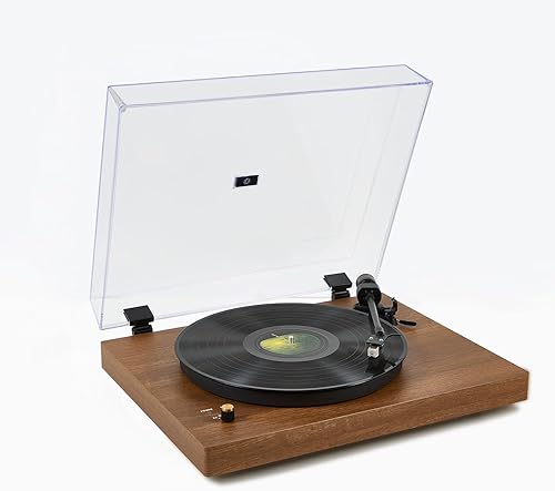 Tocadiscos, tocadiscos vintage de 2 velocidades con sonido premium, diseño retro de grano de madera, salida Bluetooth y RCA, reproductor de vinilo