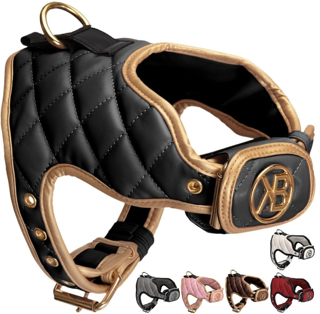 Kaycee Belle® Luxury Dog Harness Comfortable Adjustable Premium soft Padded Vegan Leather No pull no-choke harness with power strap small medium large dogs (Black Harness, Small)