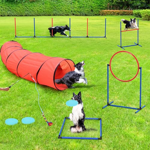YITAHOME Dog Agility Training Equipment Set with Flexible Tunnel, Hurdle, Jump Ring, 6 Weave Poles, Pause Platform, Teaser Pole, 3 Flying Discs, and Carry Bags for Indoors Outdoors, Orange/Blue
