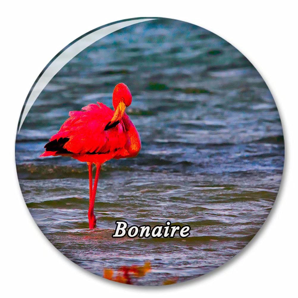 Kxrsm Bxtkpq-Bonaire-737 Bonaire Fridge Magnet Decorative Magnet Bottle Opener Tourist City Travel Souvenir Collection Gift Strong Refrigerator Sticker