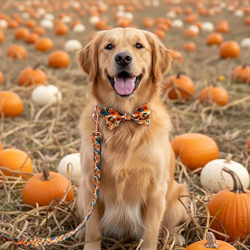 Miniatura 130 de PETDURO Collar de perro personalizado con nombre y teléfono grabado en hebilla de metal – Personalizado para perros medianos y grandes – Impresiones