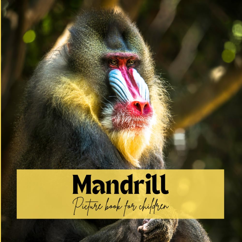 Mandrill: Picture book for children